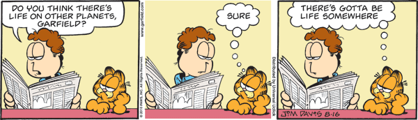 [Garfield201000816-127502[3].gif]