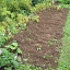 DSCN0501 (Small).jpg DSCN0501 (Small).jpg