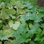 DSCN0503.jpg DSCN0503.jpg