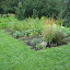 DSCN0504.jpg DSCN0504.jpg
