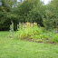 DSCN0497 (Small).jpg DSCN0497 (Small).jpg