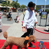 IMG_8999.jpg