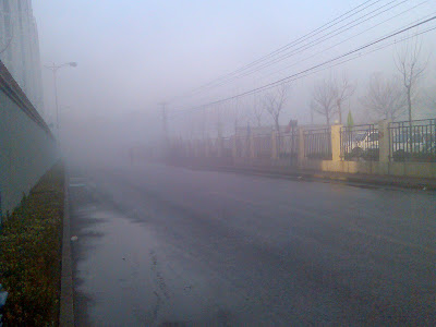 fog