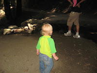 IMG_1052.JPG