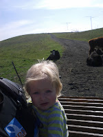 IMG_20110213_124749.jpg Photo