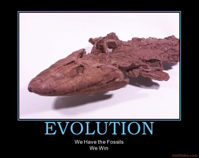 [evolution-fossils-win[5].jpg]