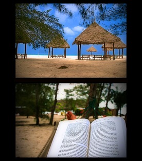 summer reading