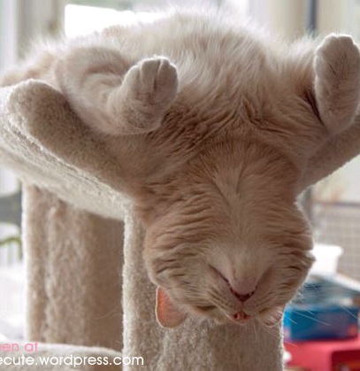 [sleep[3].jpg]