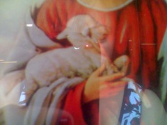 Jeremias_processo (86)