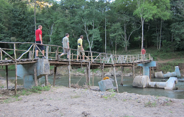 Bridge to the bird show