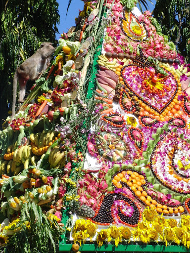 Fruit canopy