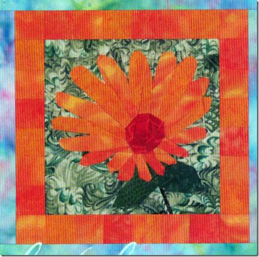 a calendula 1 a calendula 1