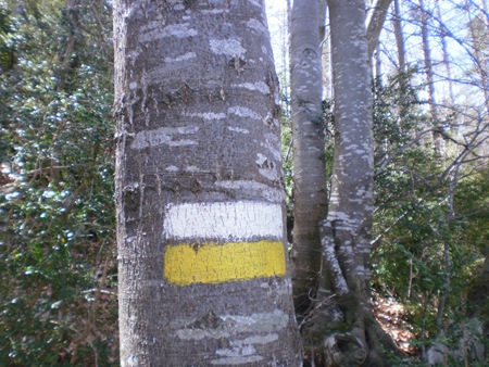 P4230080