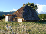 P7160021