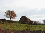 Senza titolo-11