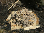 DSCF6334mini.jpg