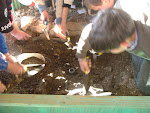 DSCF2009mini.jpg
