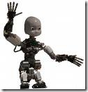 icub