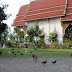 Tiere vor Tempel