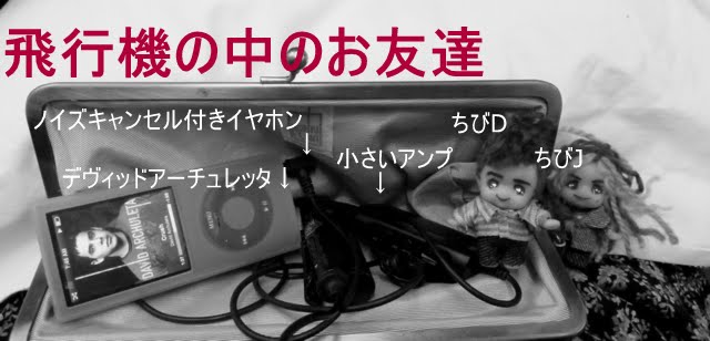 http://lh4.ggpht.com/_ega6Q7naXLY/S4cq74XNhqI/AAAAAAAAI38/7s7LeVATGRk/s720/P1000811.JPG