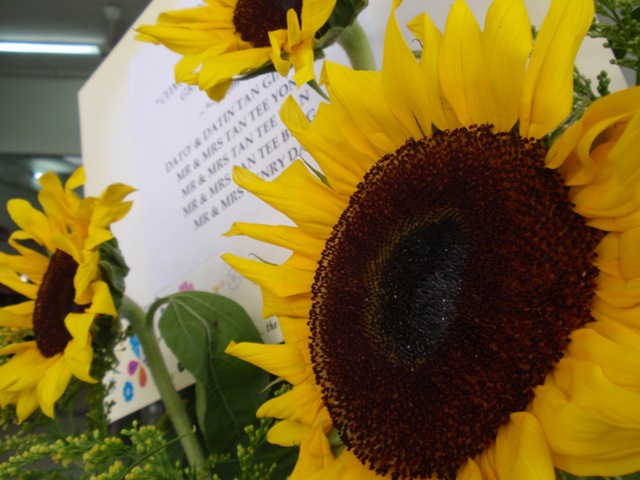 [P7040053_800x600[3].jpg]