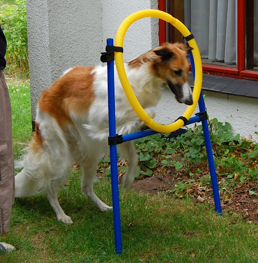 http://lh4.ggpht.com/_ehe-zMntaf0/TMvv5R8LpDI/AAAAAAAAIMU/RchYUGGzvf4/s512/DSC_4357.JPG