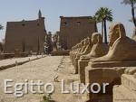 [Egitto Luxor[10].jpg]