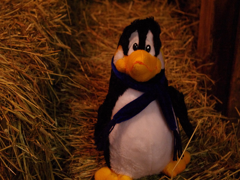 Hay%20bale.JPG