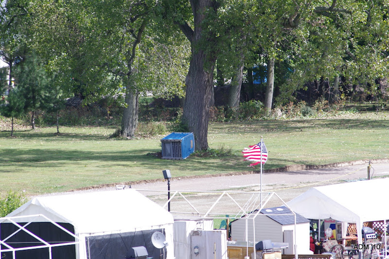 IMGP4410-1.JPG