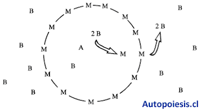 Computational Autopoiesis