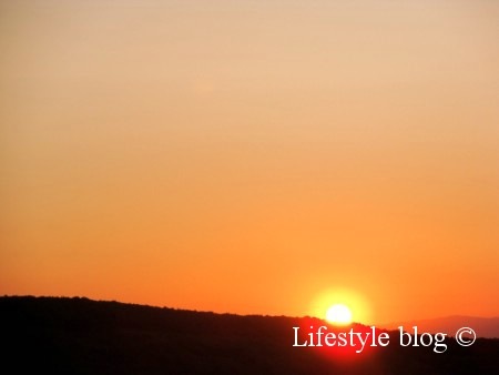 [DSC061515.jpg]
