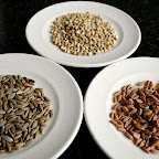 grains de seigle, sarrasin et épautre