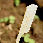 potager