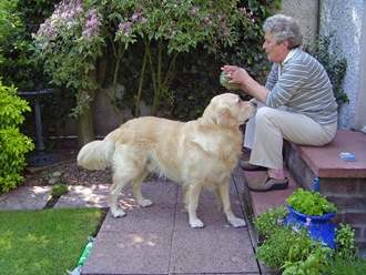 [buddy and mum[5].jpg]
