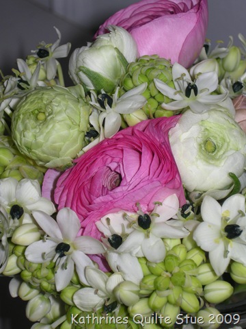 [januar 2009 310[11].jpg]