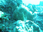  underwater
