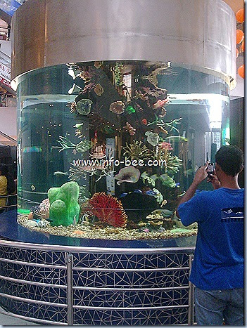 Info Bee: GVK ONE Mall at Hyderabad as Biggest Aquarium