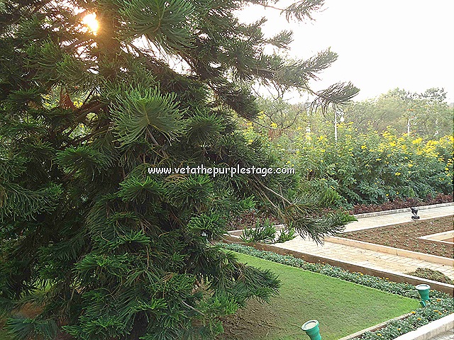 [Ramojifilmcitygarden[1].jpg]