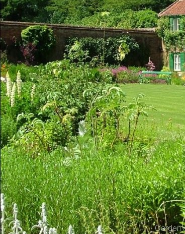 [garden[6].jpg]