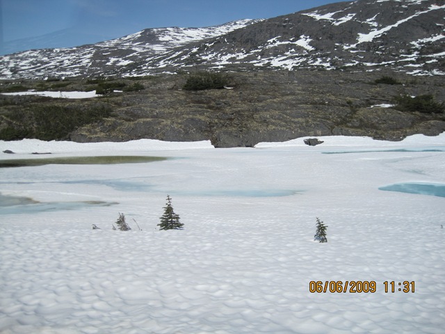 [IMG_08372.jpg]