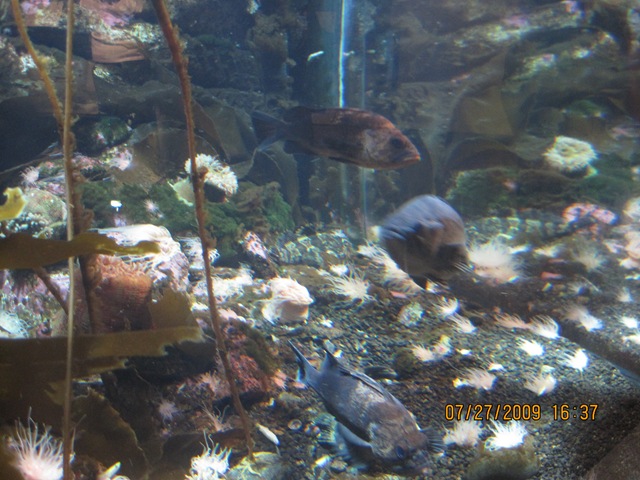 [IMG_13722.jpg]