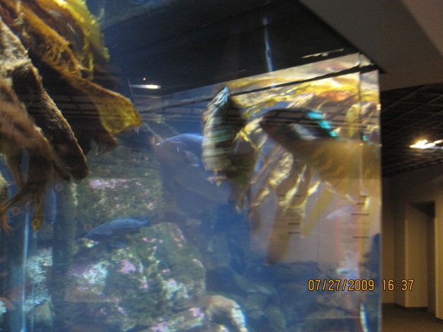 [IMG_13732.jpg]