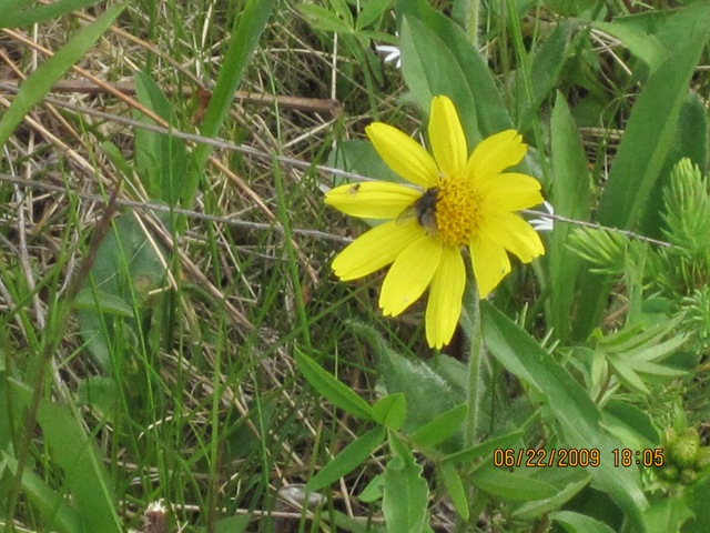 [IMG_11642.jpg]