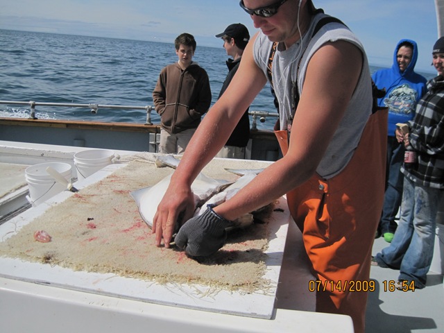 [IMG_13032.jpg]