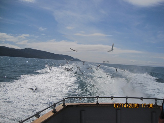 [IMG_13072.jpg]