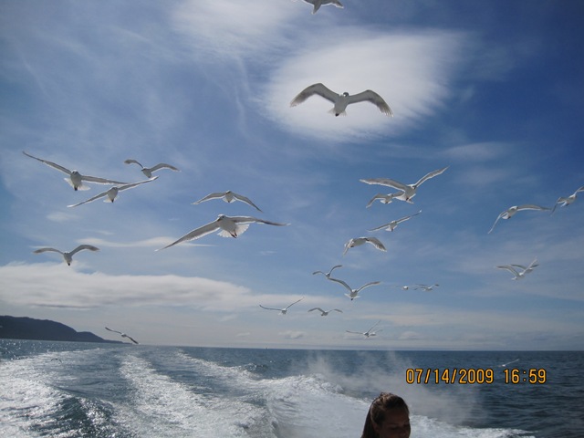[IMG_13042.jpg]