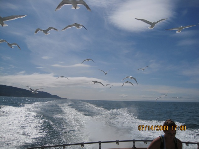 [IMG_13062.jpg]