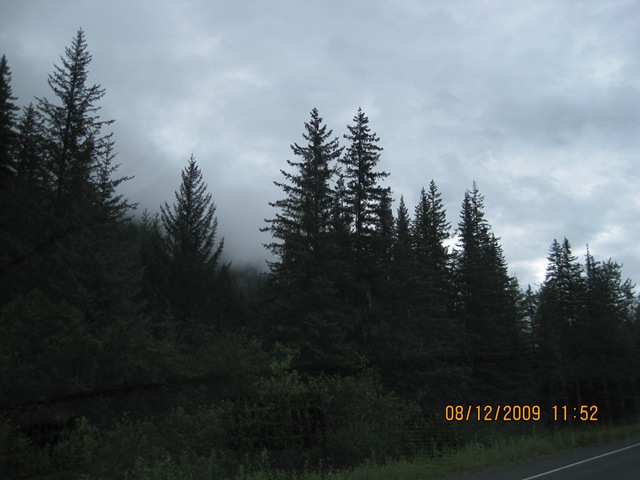 [IMG_17462.jpg]