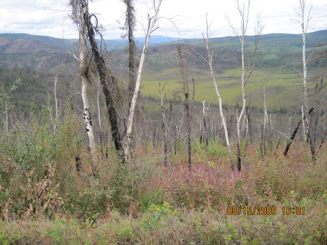 [IMG_18162.jpg]