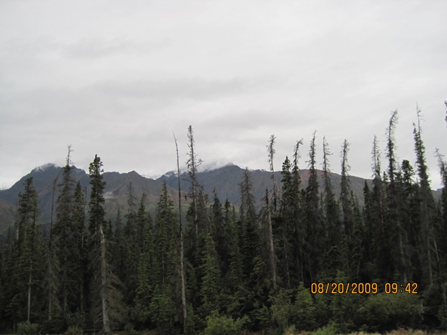 [IMG_18542.jpg]